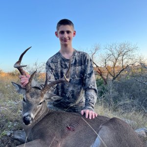 Whitetail Deer Hunt Texas