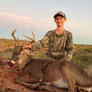 Whitetail Deer Hunt Texas