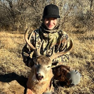 Whitetail Deer Hunt Colorado