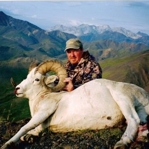 Dall Sheep Hunt West Alaska Range