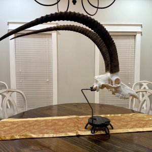 Sable Euro Skull Desk Mount