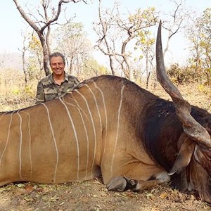 Lord Derby Eland Hunt Cameroon