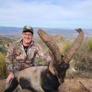 Southeastern Ibex Hunt Spain