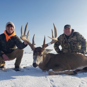 Whitetail Deer Hunting Iowa