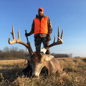 Whitetail Deer Hunting Iowa