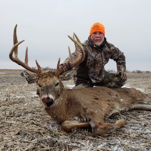 Whitetail Deer Hunting Iowa