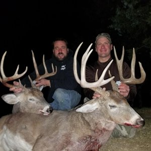 Whitetail Deer Hunting Iowa