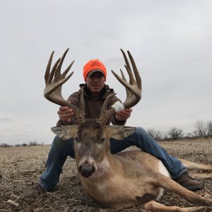 Whitetail Deer Hunting Iowa