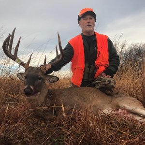 Whitetail Deer Hunting Iowa