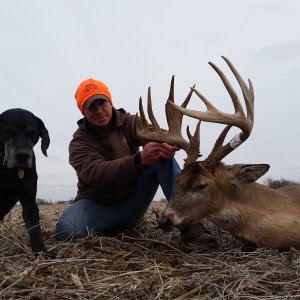 Whitetail Deer Hunting Iowa