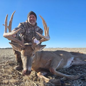 Whitetail Deer Hunting Iowa