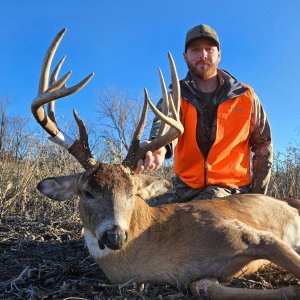 Whitetail Deer Hunting Iowa