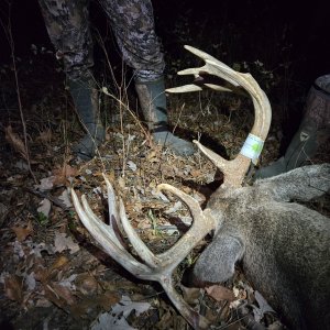 Whitetail Deer Hunting Iowa