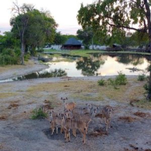 Botswana Scenery