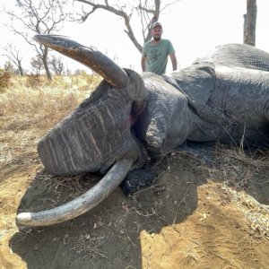 Elephant Hunt Botswana