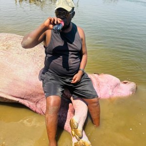 Hippo Hunt Zambia