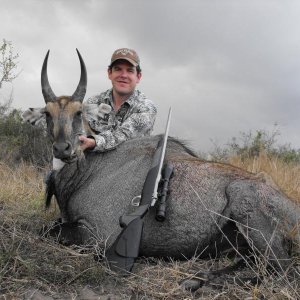 Nilgai Hunt Texas