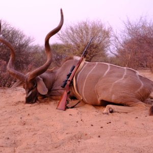 Kudu Hunt Botswana