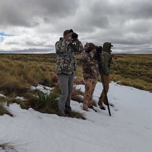 Hunting in Snow Eastern Cape South Africa