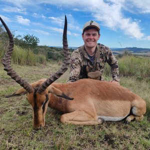 Impala Hunt Eastern Cape South Africa