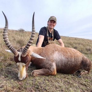 Blesbok Hunt Eastern Cape South Africa