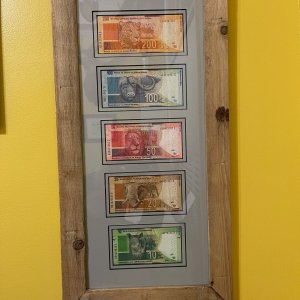 South African Big 5 Currency