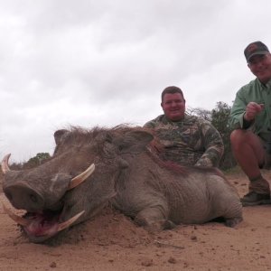 Warthog Hunt With Derian Koekemoer