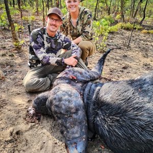 Hunting Cape Buffalo