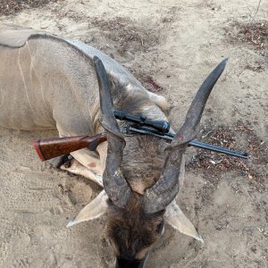 Eland Hunting