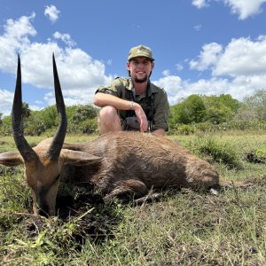 Hunting Bushbuck Mozambique