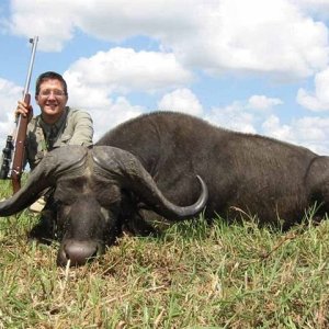 Buffalo Hunting Mozambique