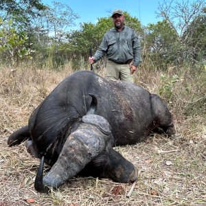 Buffalo Hunt Tanzania