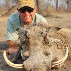 Warthog Hunt Mozambique