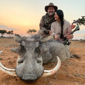 Warthog Bow Hunt South Africa