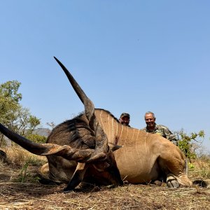 Eland Hunting Cameroon