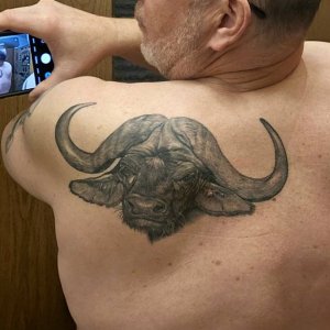 Buffalo Tatoo