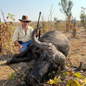 Buffalo Hunt Zimbabwe