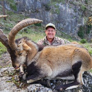 Ibex Hunting Spain