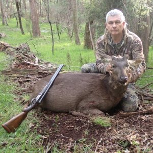 Sambar Deer Hunt Australia