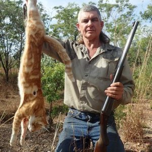 Feral Cat Hunt Australia