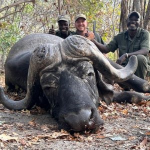 Buffalo Hunt Niassa Mozambique