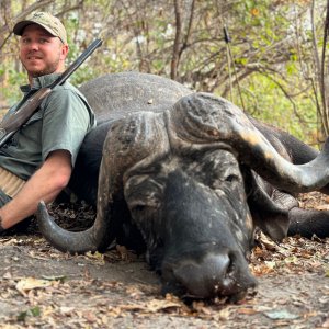 Buffalo Hunt Niassa Mozambique