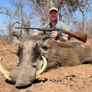 Media 'Warthog Hunt Niassa Mozambique' in category 'Hunting Africa'