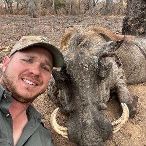 Warthog Hunt Niassa Mozambique