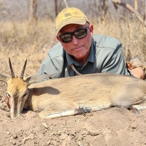 Common Duiker Hunt Mozambique