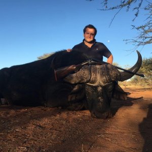 Cape Buffalo Hunt South Africa