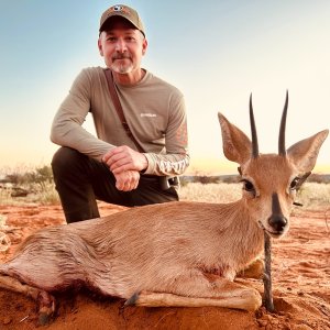 Steenbok Hunting