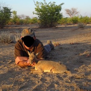 Damara Dik-Dik Hunting