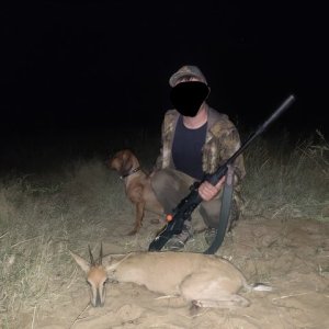 Grey Duiker Hunt