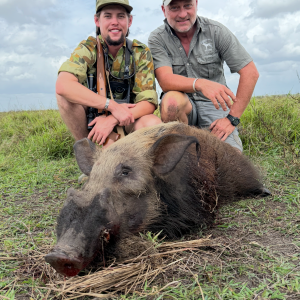 Bushpig Hunt Mozambique